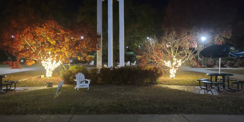 Landscape Lights in Fayetteville, North Carolina